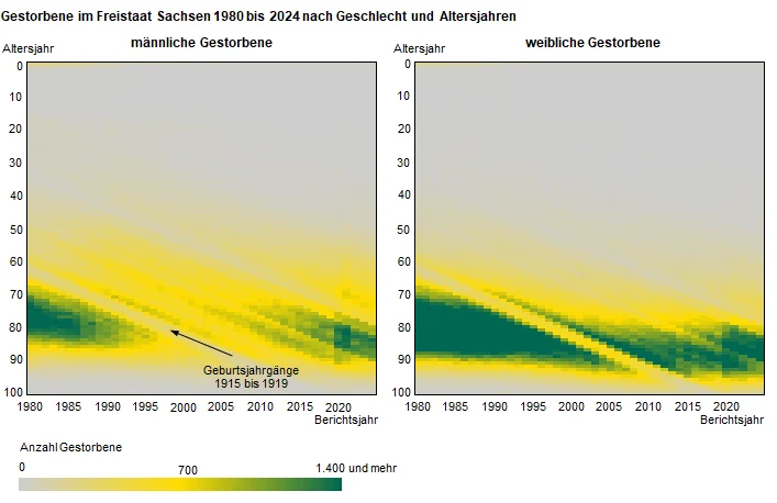 Die Abbildung des Typ Heatmap stellt die Anzahl der Gestorbenen im Alter von 0 bis 100 Jahren für den Betrachtungszeitraum 1980 bis 2024 dar und verdeutlicht die geschlechtsspezifischen Unterschiede.